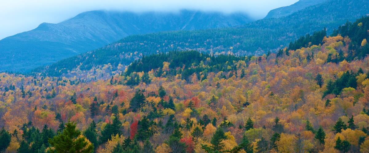 Mount Washington State Park which includes autumn leaves, landscape views and mist or fog