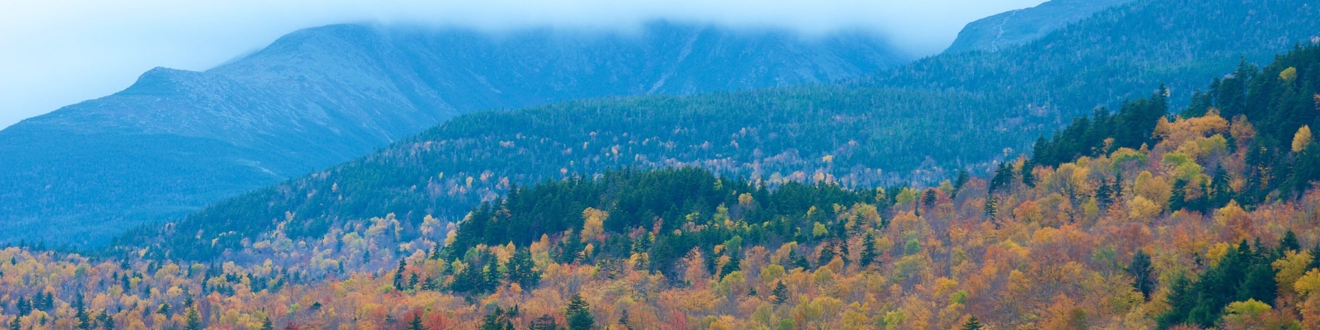 Mount Washington State Park which includes autumn leaves, landscape views and mist or fog
