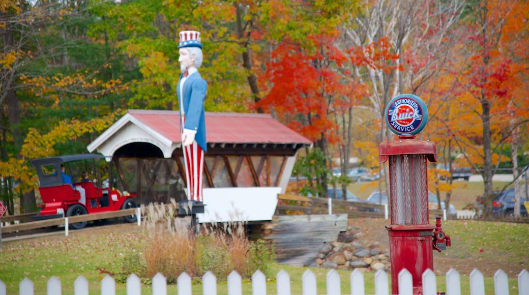 Story Land som viser karusell