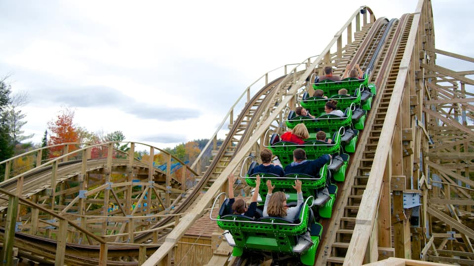 A wooden roller coaster with green cars, surrounded by autumn trees.