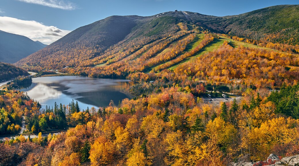 Vườn Tiểu bang Franconia Notch
