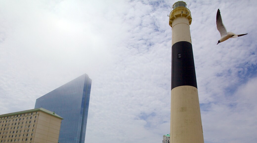 Absecon Lighthouse showing modern architecture, a lighthouse and bird life