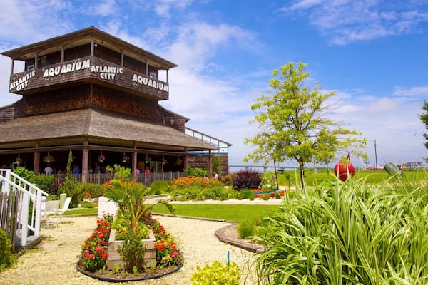 Atlantic City Aquarium showing marine life, a park and flowers