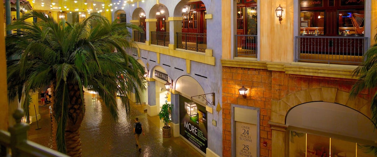 Quarter at Tropicana das einen tropische Szenerien, bei Nacht und Stadt