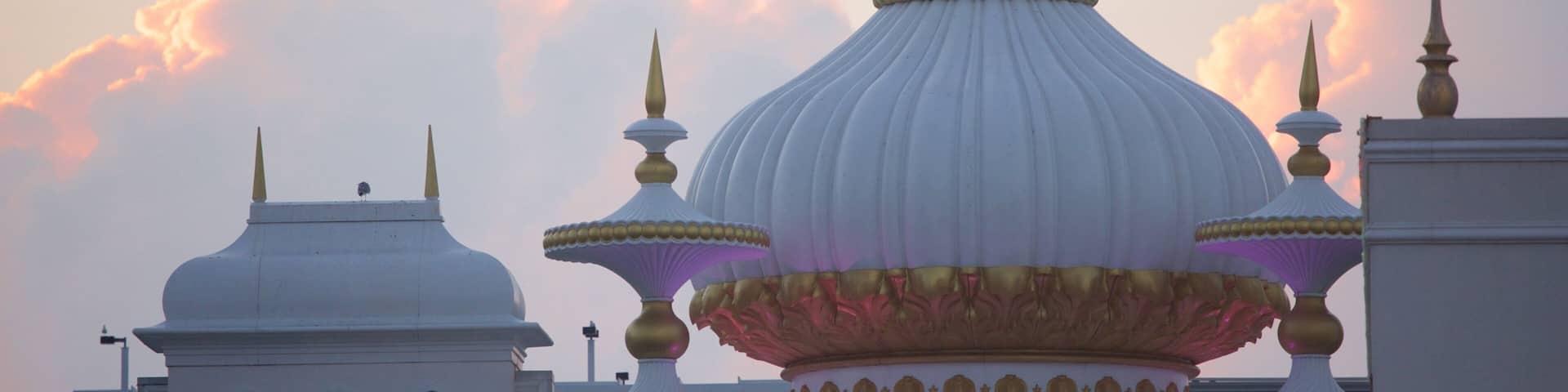 Steel Pier featuring a city