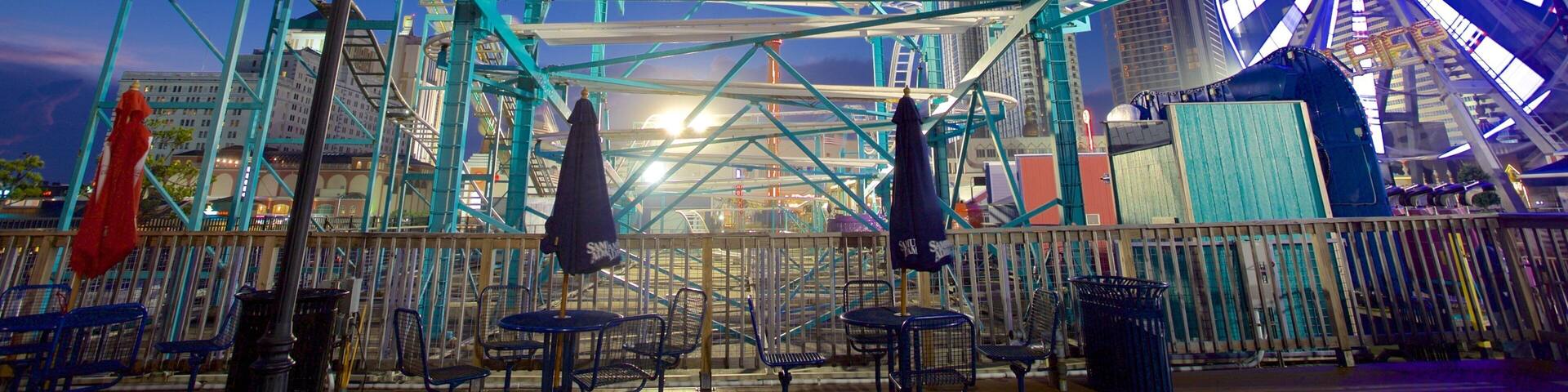 A Ferris wheel and a roller coaster at a theme park.