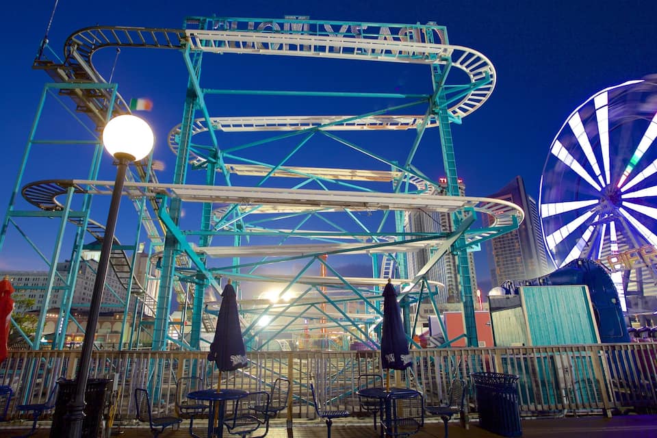 Een reuzenrad en achtbaan in een pretpark.