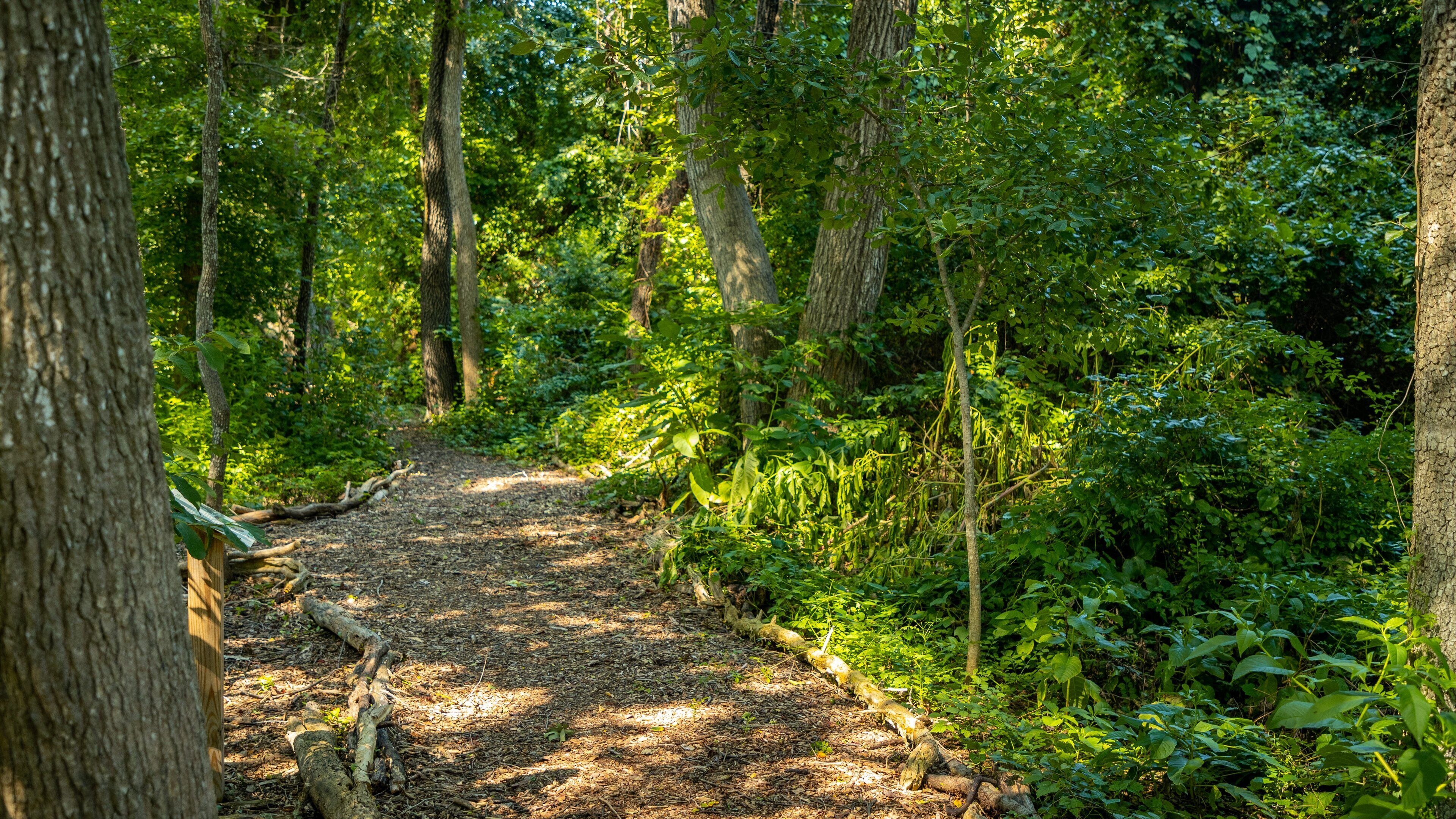 Cape May Bird Observatory