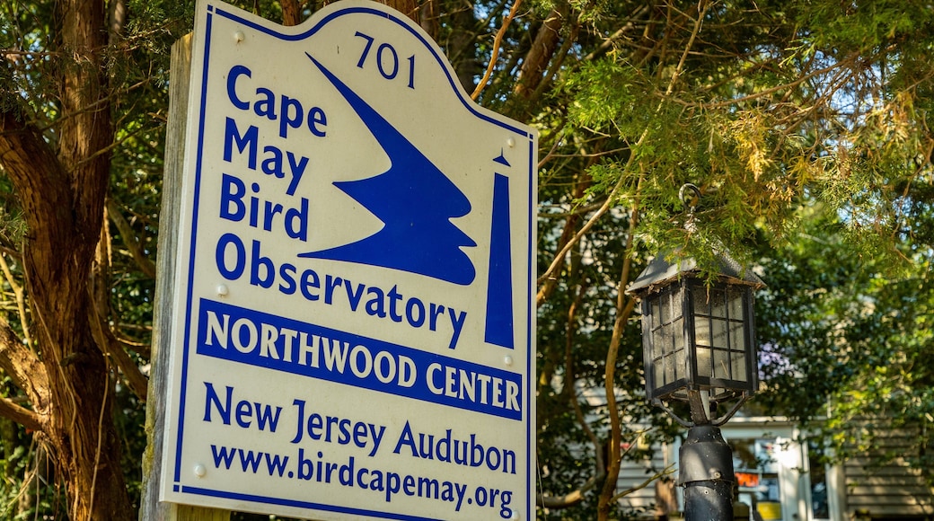 Cape May Bird Observatory