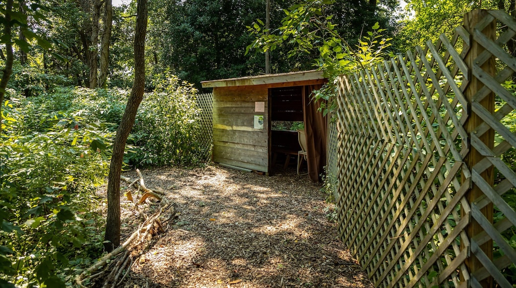 Cape May Bird Observatory