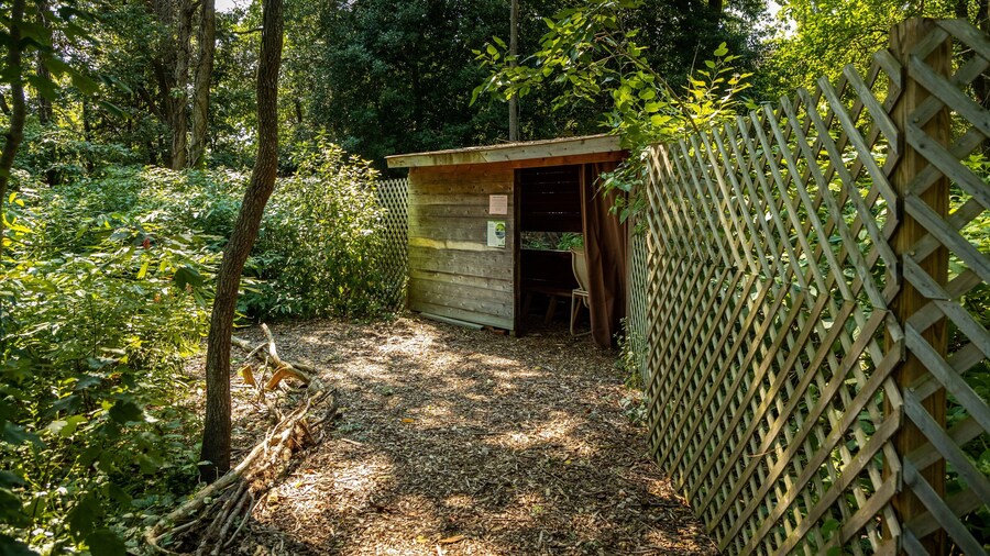 Cape May Bird Observatory