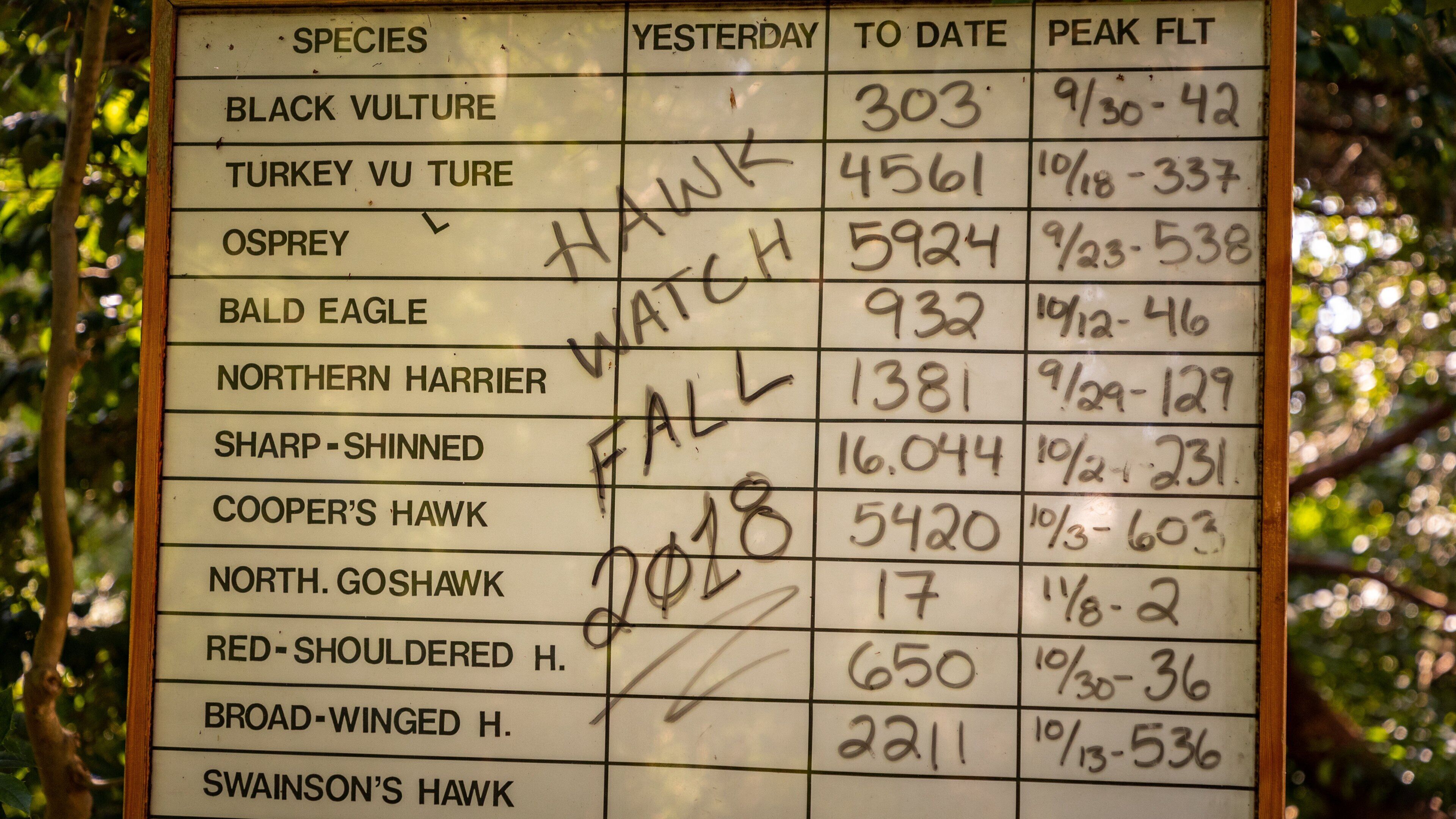 Cape May Bird Observatory