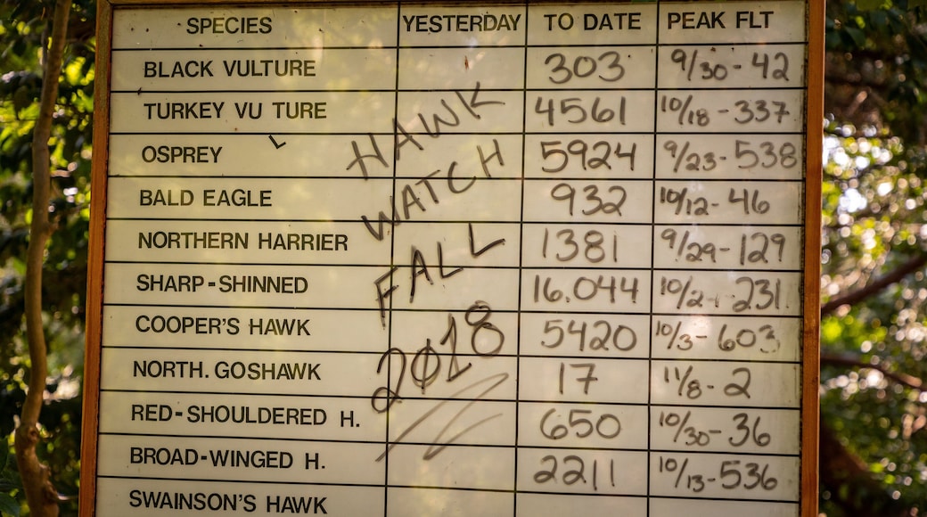 Cape May Bird Observatory