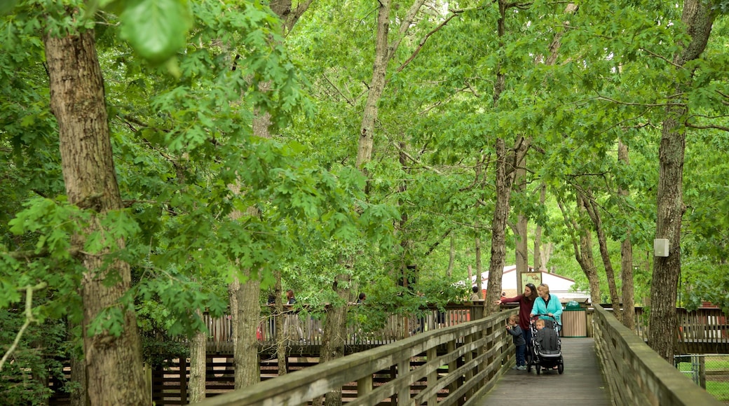 Cape May County Zoo featuring a garden as well as a family