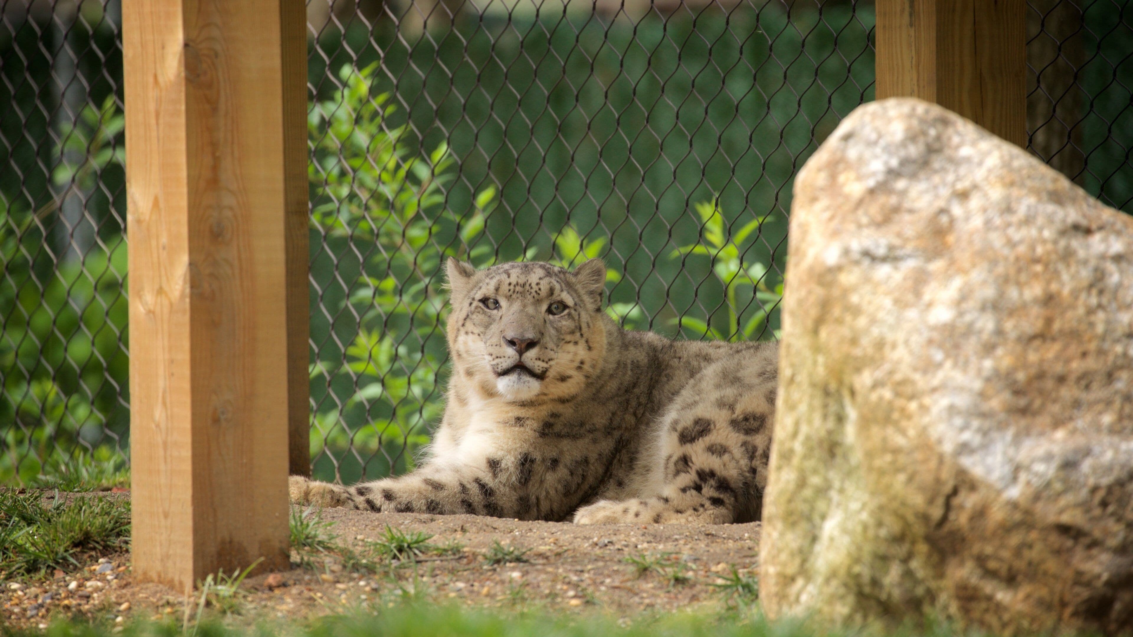 Cape May County Zoo featuring land animals, zoo animals and dangerous animals