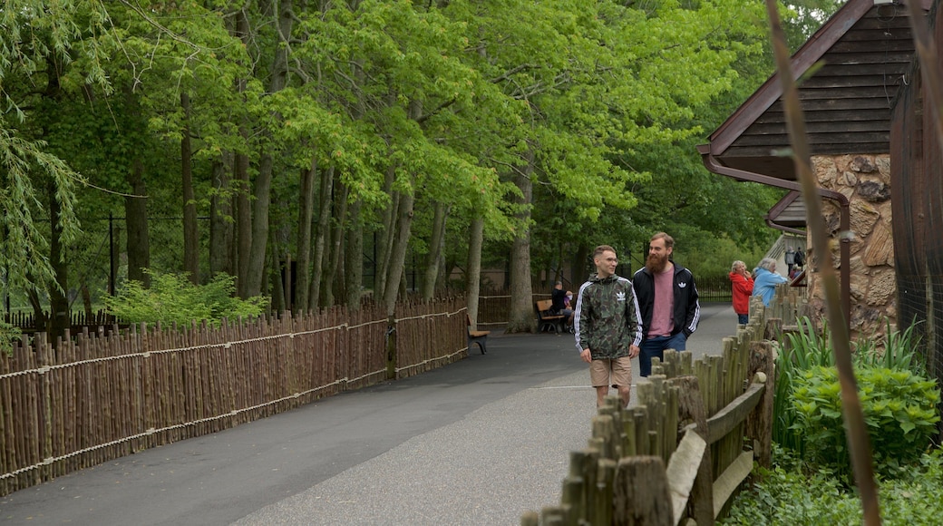 开普梅乡村动物园