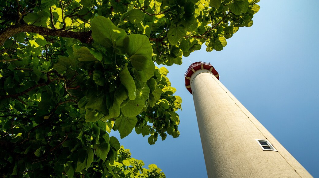 Cape May Lighthouse featuring a lighthouse