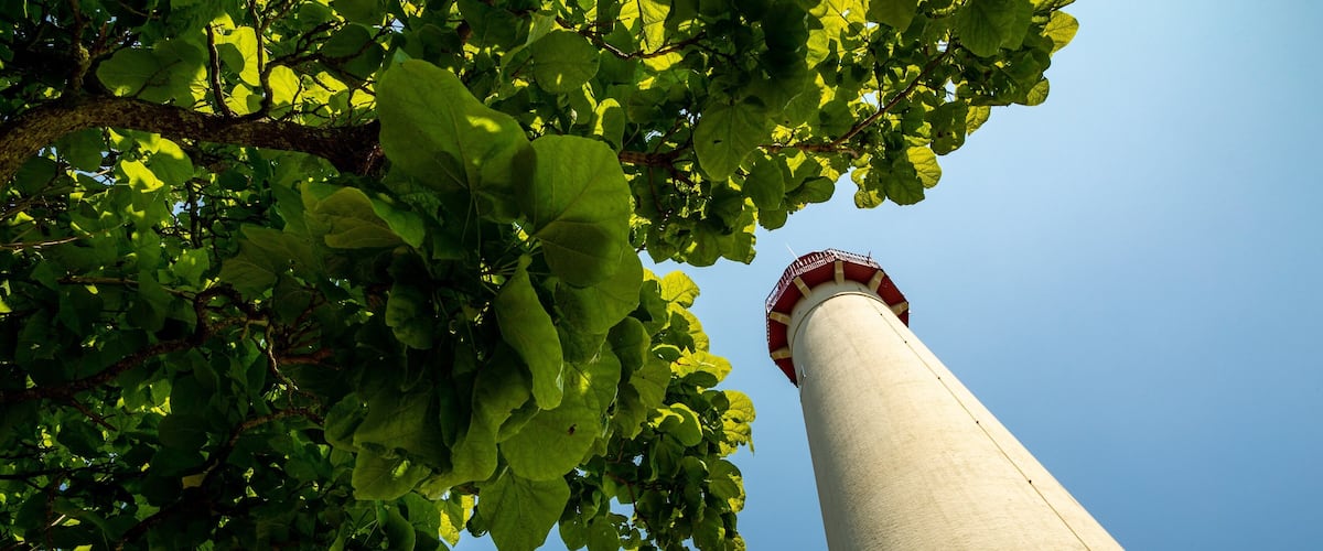 Cape May Lighthouse featuring a lighthouse