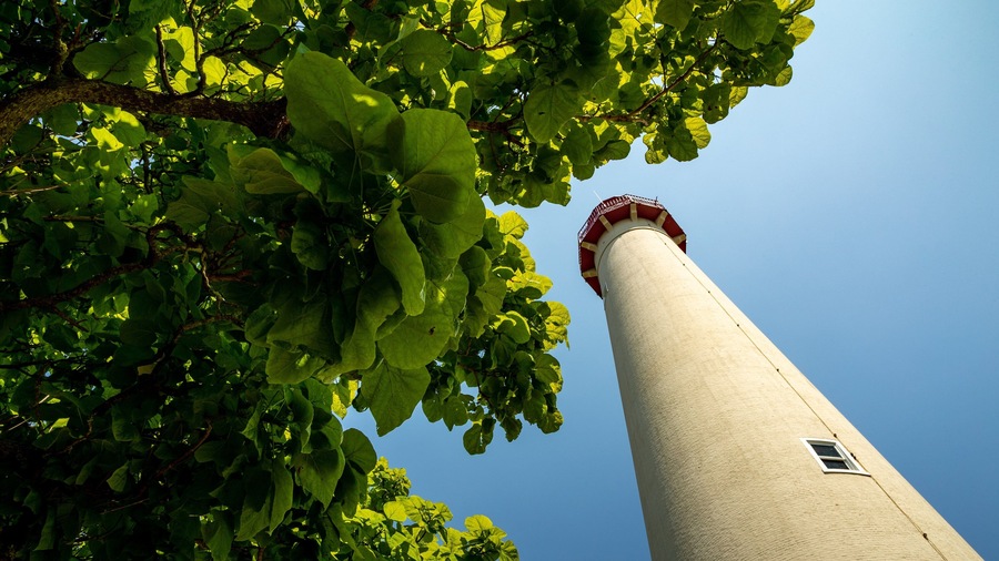 Cape May Lighthouse featuring a lighthouse