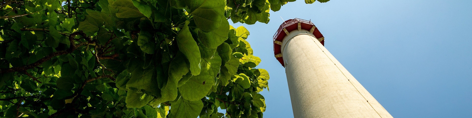 Cape May Lighthouse featuring a lighthouse