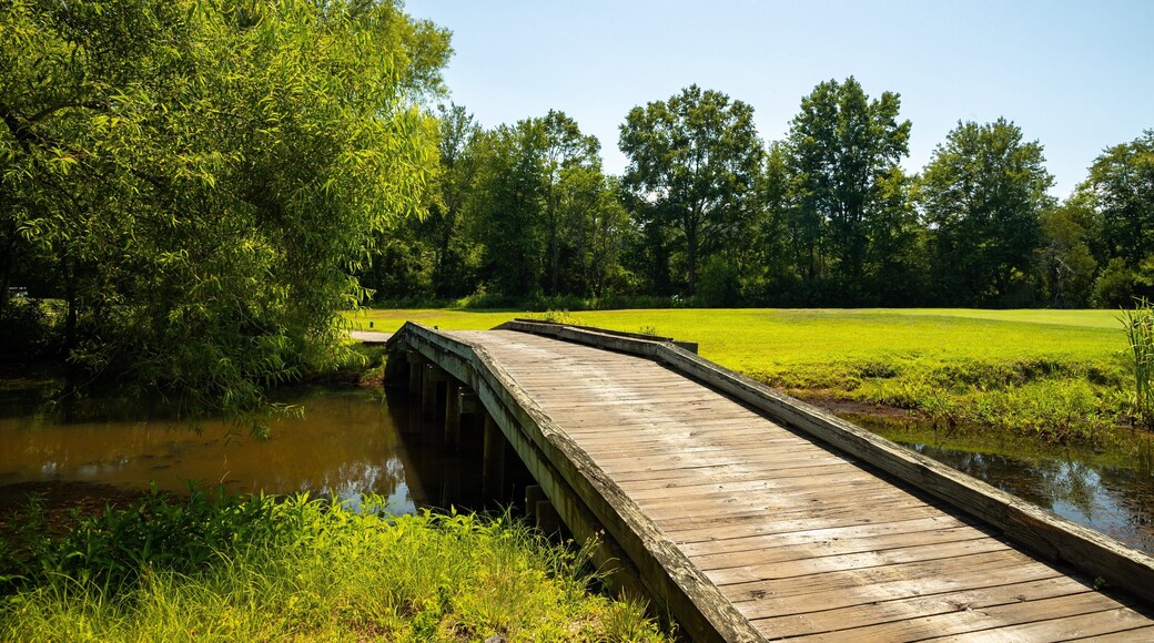 Cape May National Golf Club