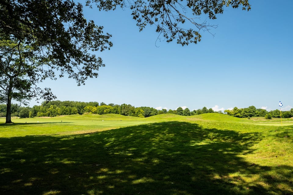 A golf course with a flag, trees, and a clear blue sky.
