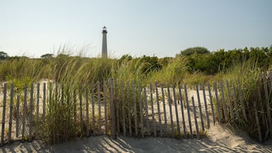 Cape May