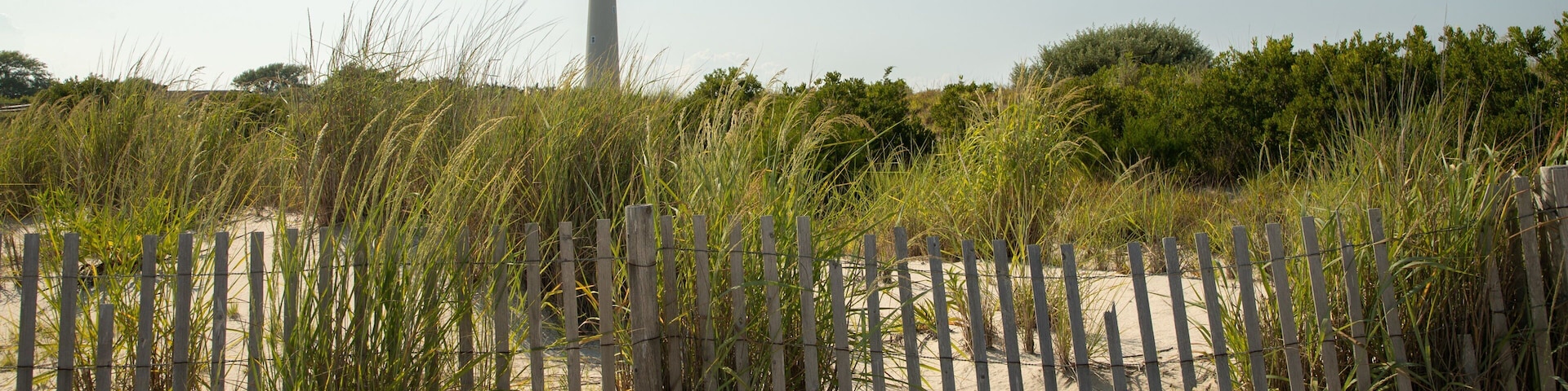 Cape May