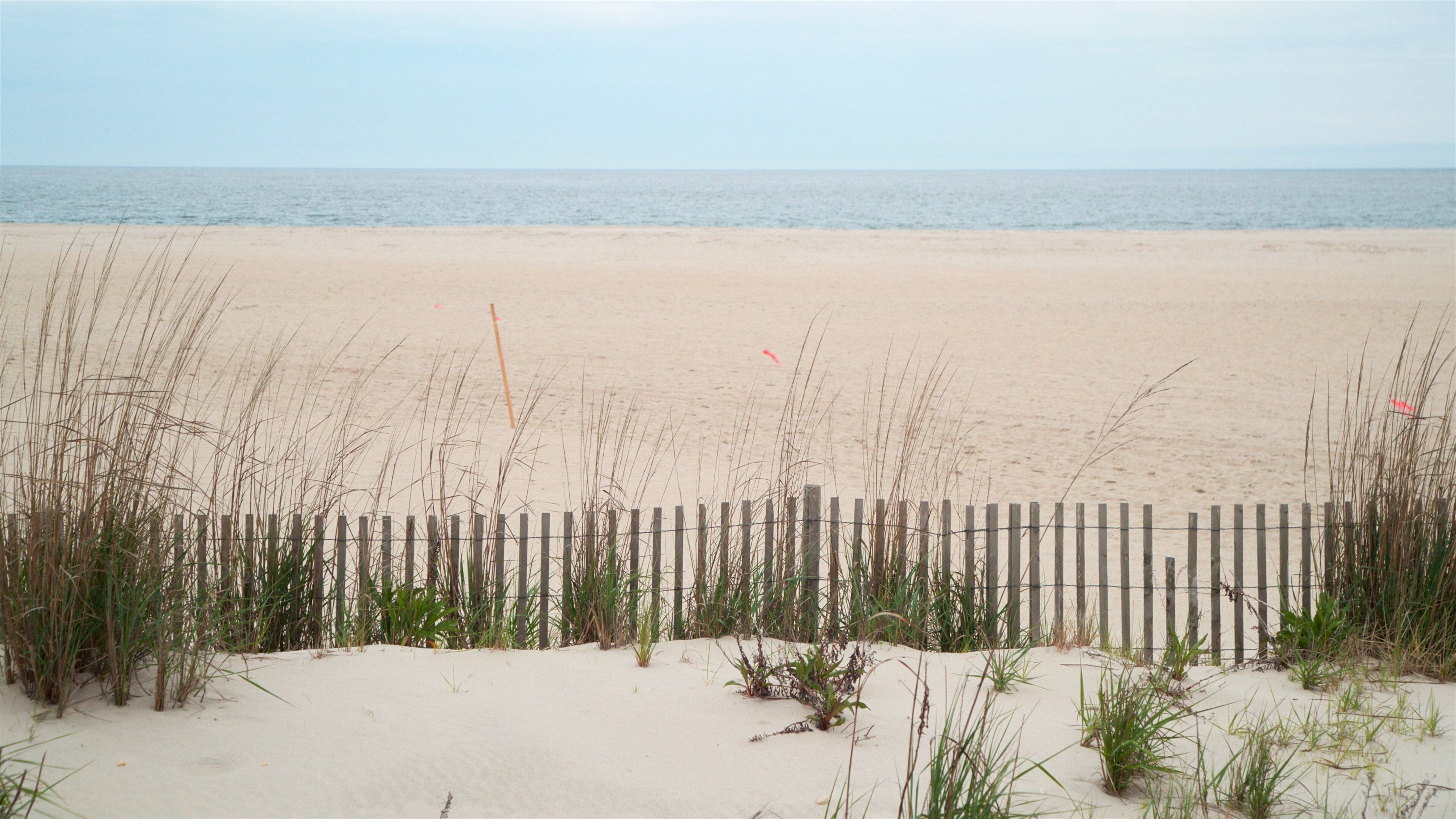 Cape May Point State Park which includes a sandy beach and general coastal views