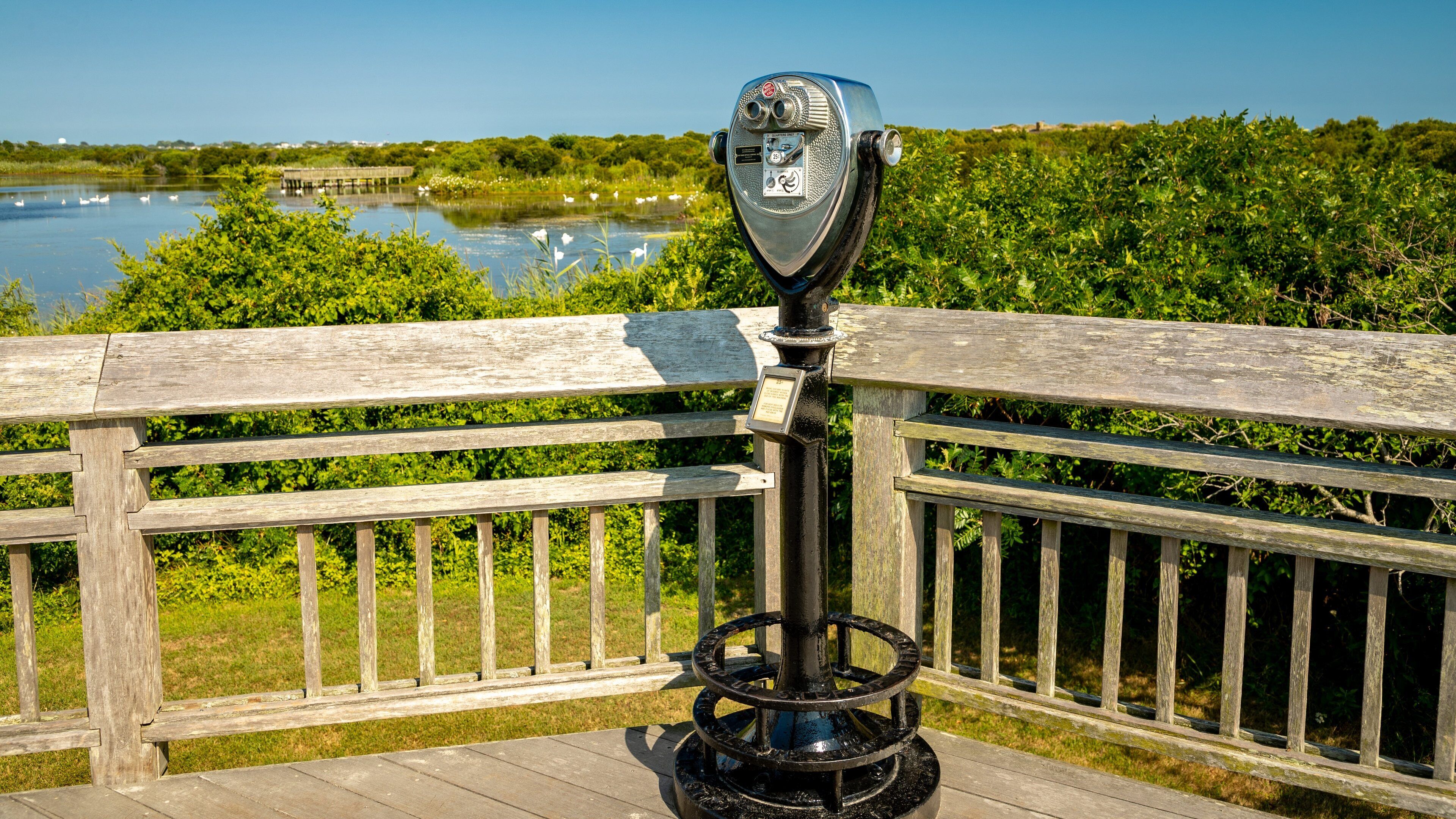 A wooden observation deck with a metal telescope overlooking a lake and dense greenery.