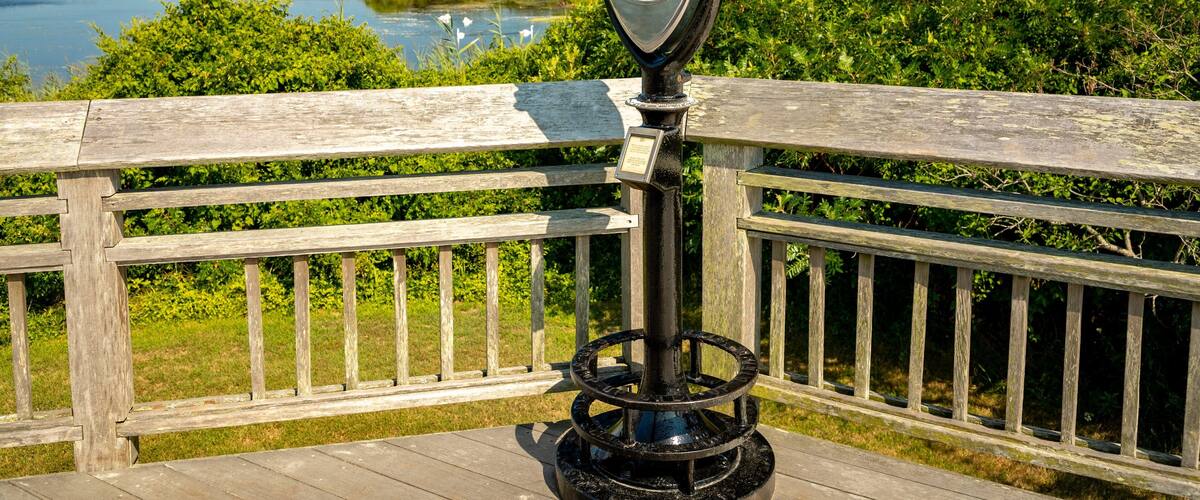 A wooden observation deck with a metal telescope overlooking a lake and dense greenery.