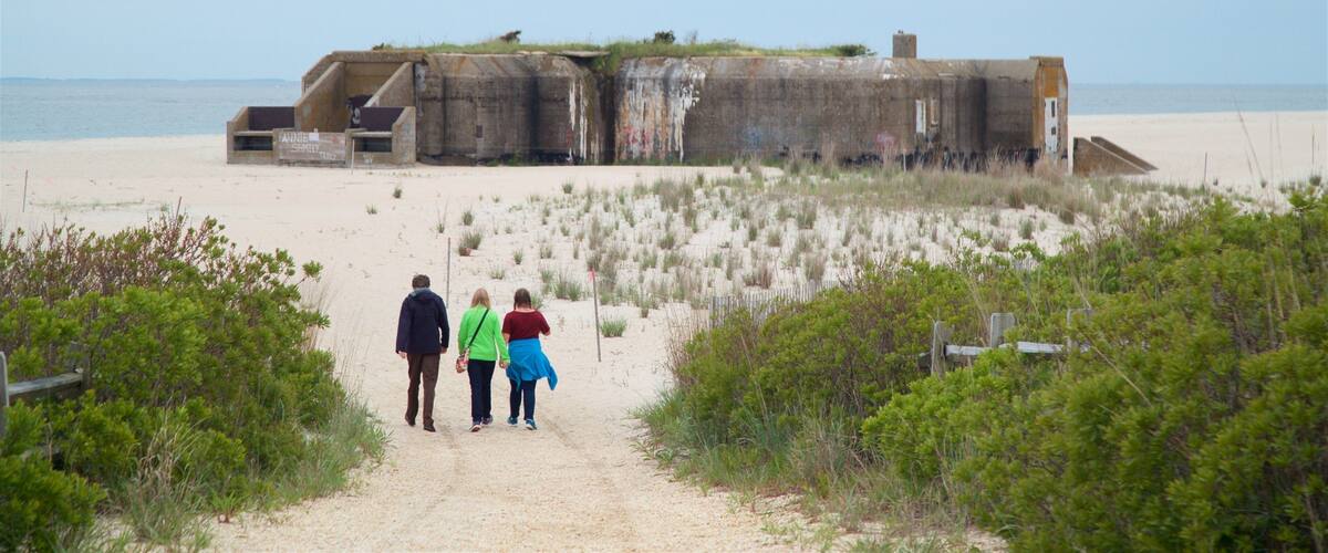 Cape May Point State Park featuring general coastal views, heritage elements and military items