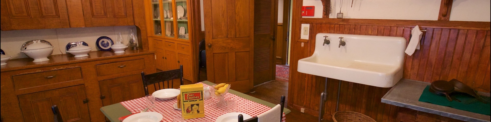 費希克豪宅 呈现出 房屋, 懷舊元素 和 內部景觀