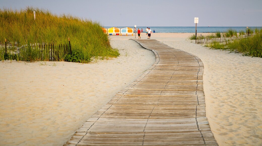 Wildwood Beach which includes general coastal views and a sandy beach