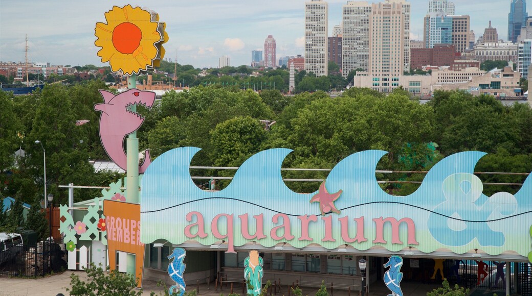 Camden\'s Children Garden mostrando señalización, una ciudad y un rascacielos