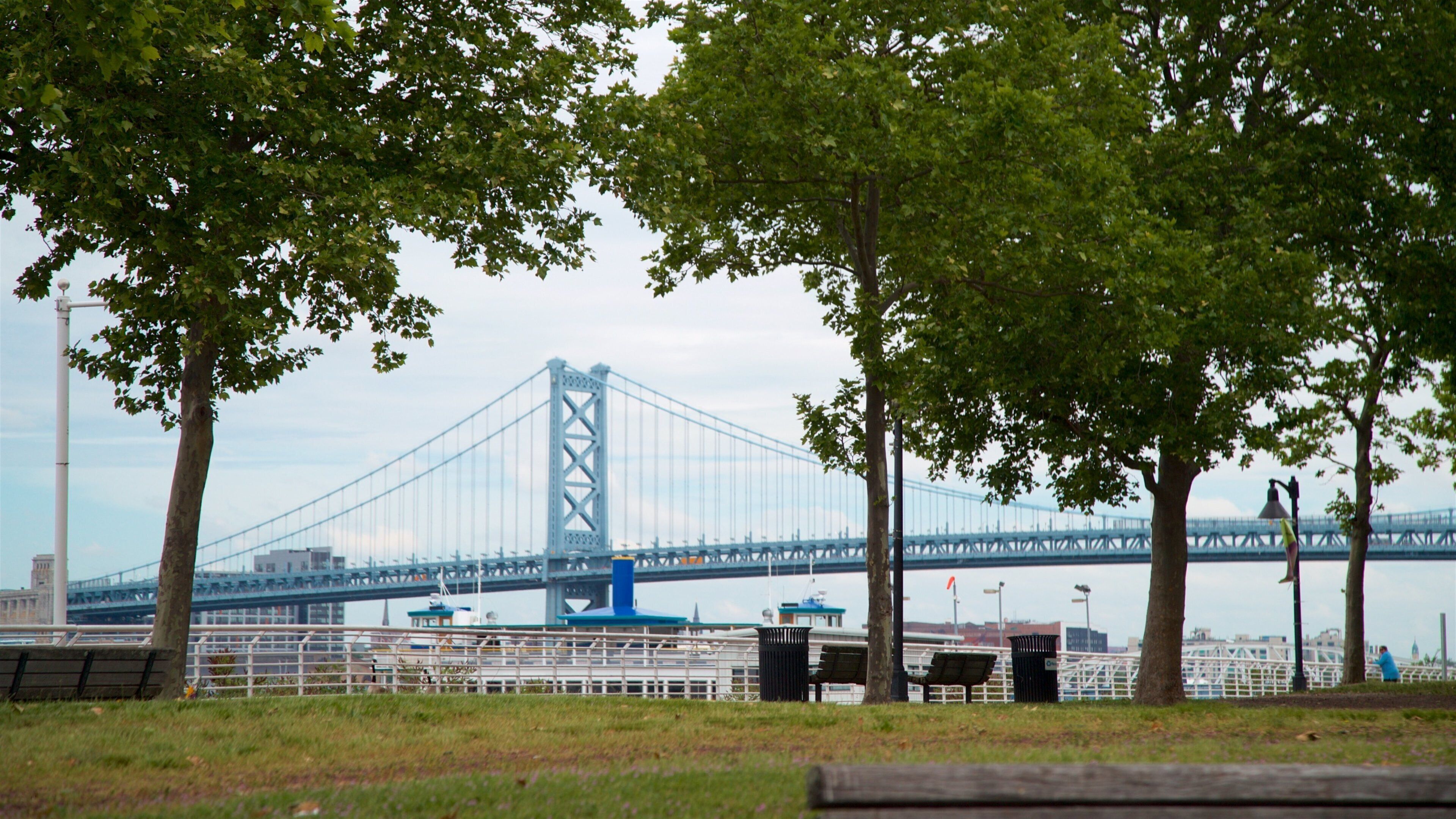 Wiggins Park and Marina featuring a park and a bridge