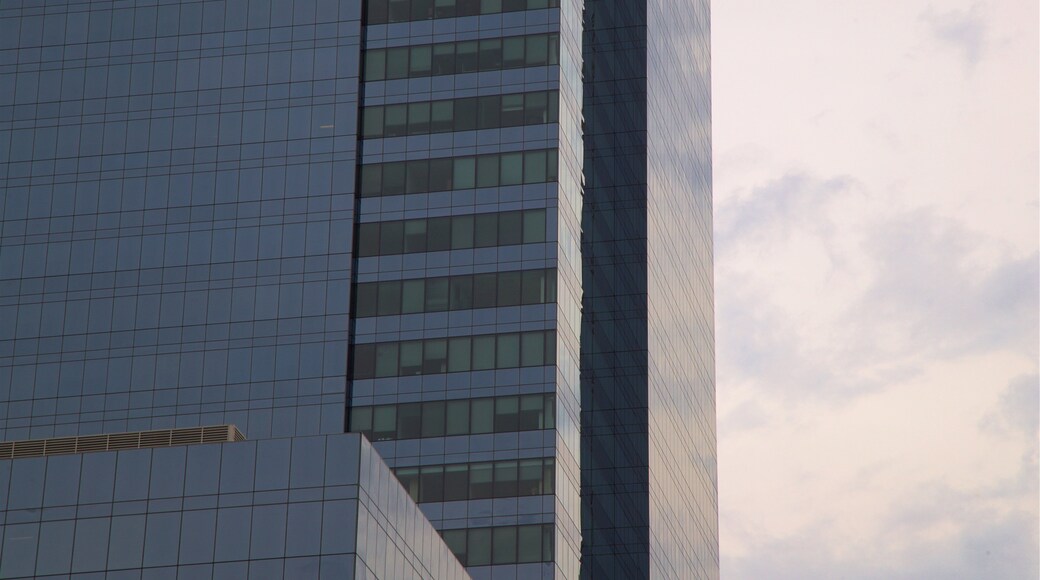 Goldman Sachs Tower showing a city