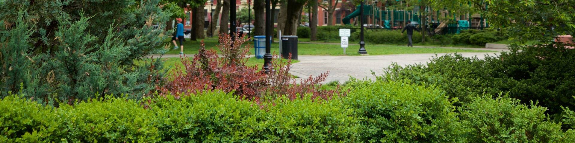 Hamilton Park which includes a park