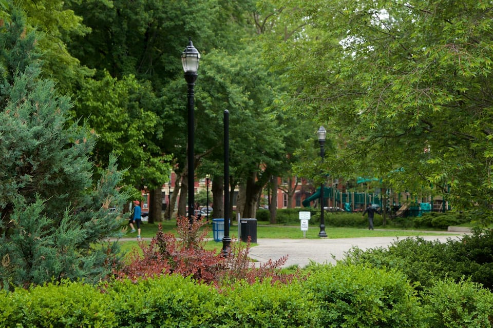A park with dense trees, a pathway, and a playground in the background.