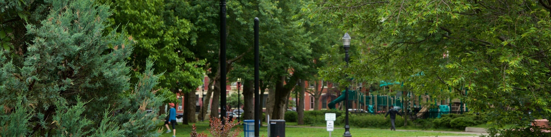 Hamilton Park mostrando um parque