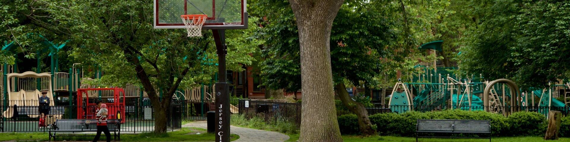 A basketball court with a hoop, surrounded by trees and playground equipment.