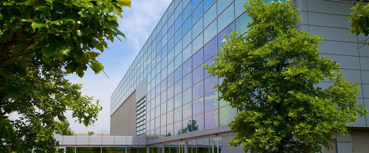 A modern building with large glass windows and a red brick pathway.