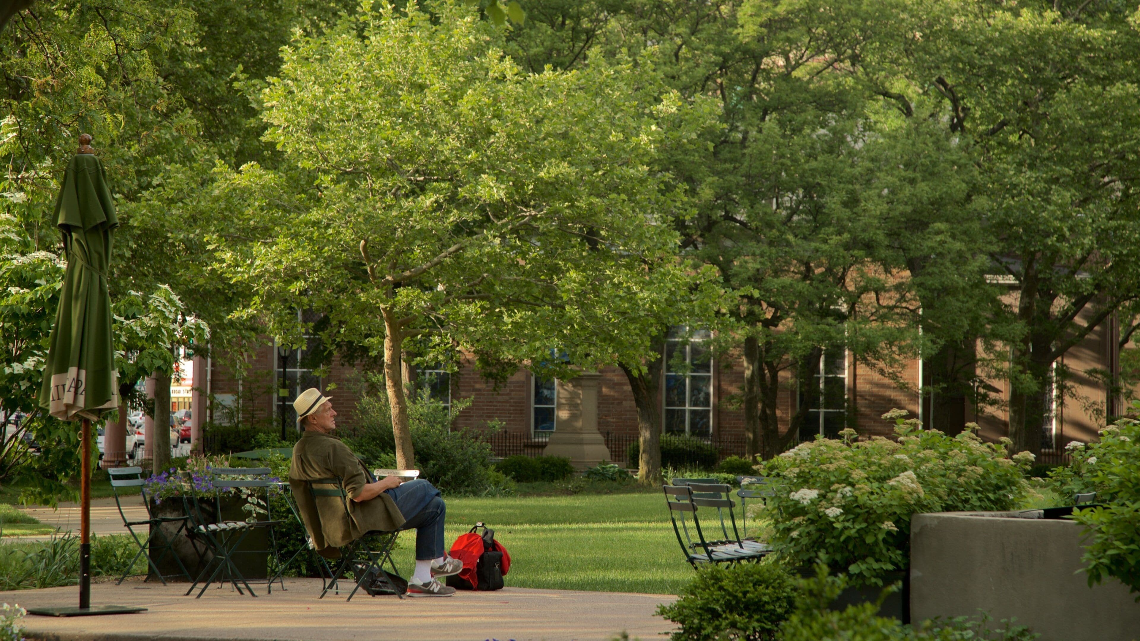 Military Park showing a park as well as an individual male