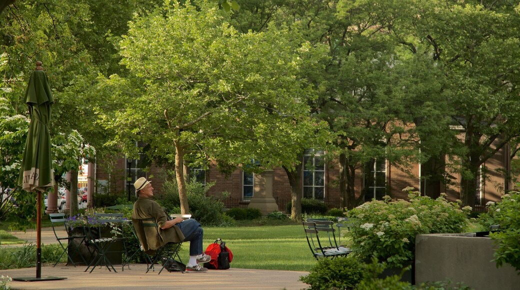 Military Park showing a park as well as an individual male