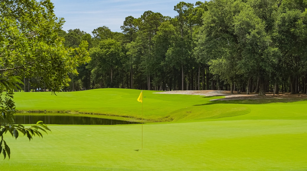 Caledonia Golf and Fish Club which includes a pond and golf