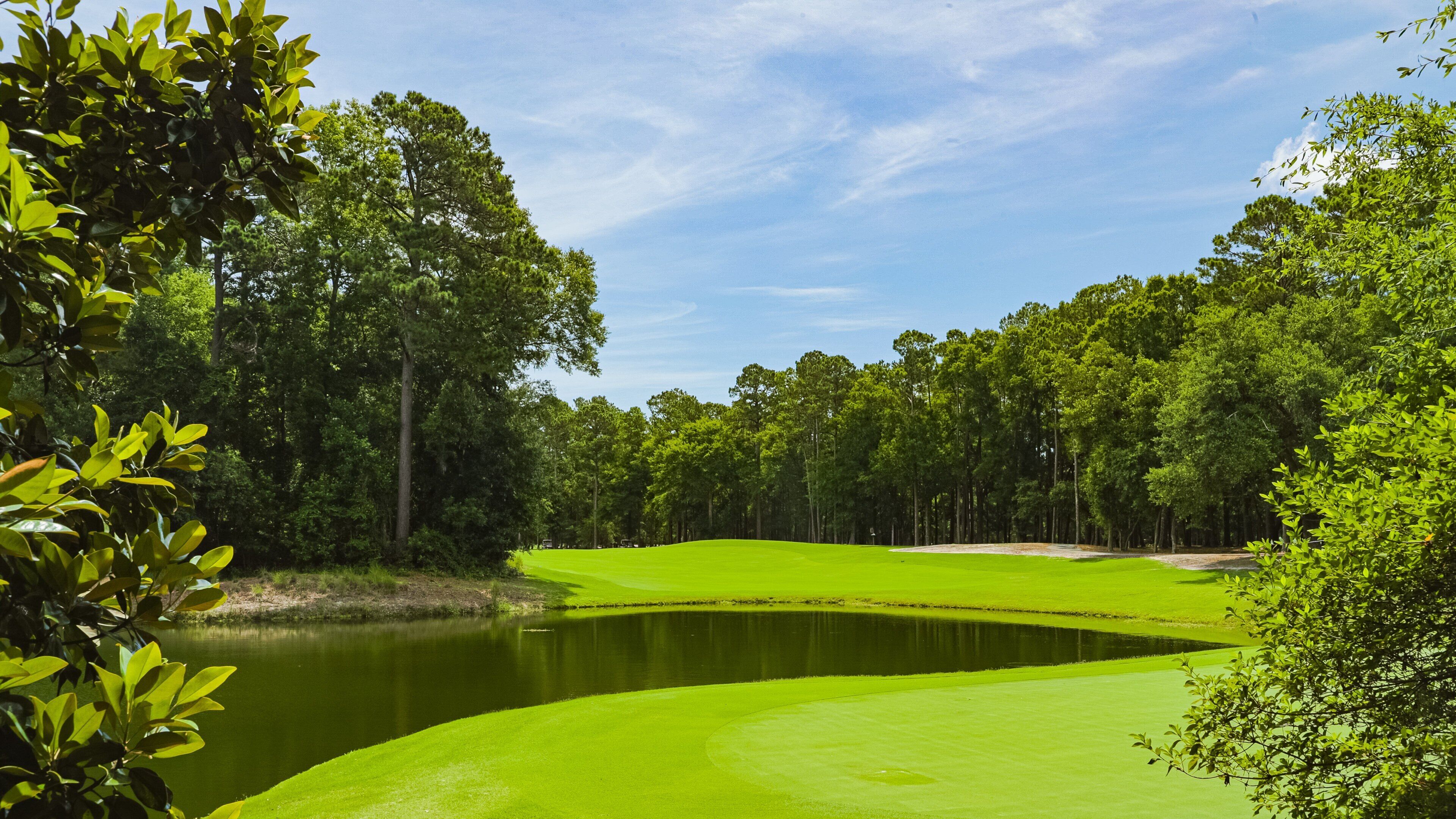 Caledonia Golf and Fish Club which includes golf and a pond