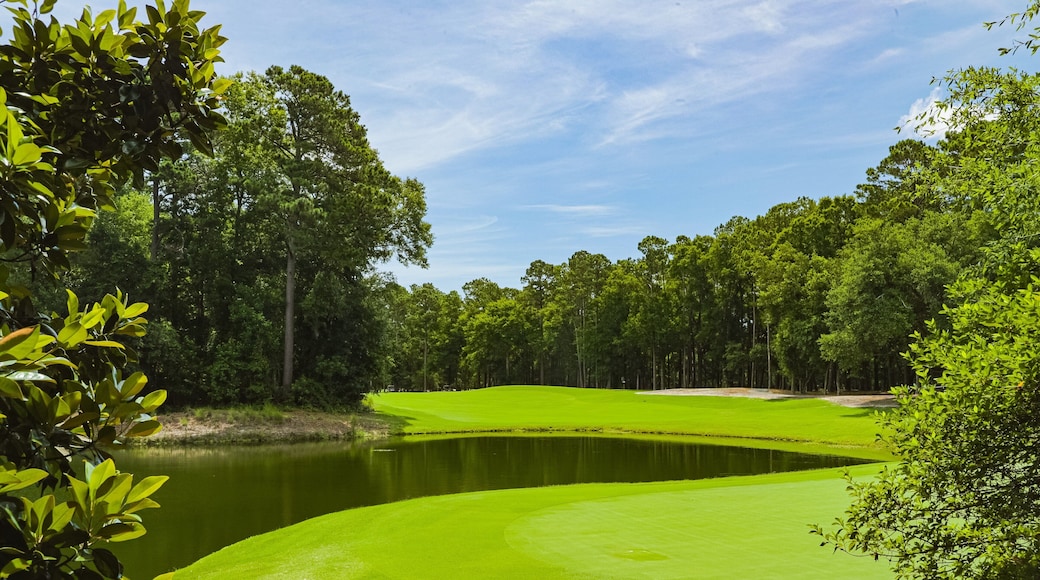 Caledonia Golf and Fish Club which includes golf and a pond