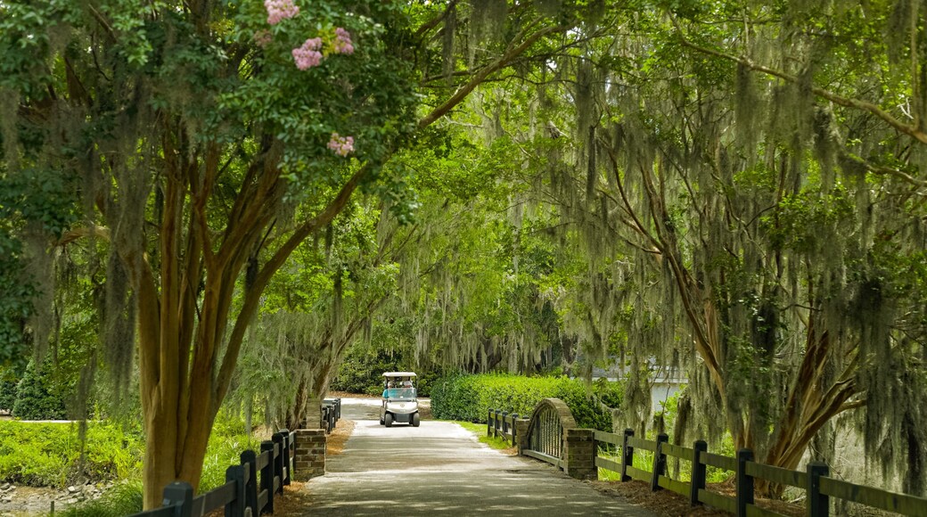 Caledonia Golf and Fish Club which includes a bridge and a park as well as a small group of people