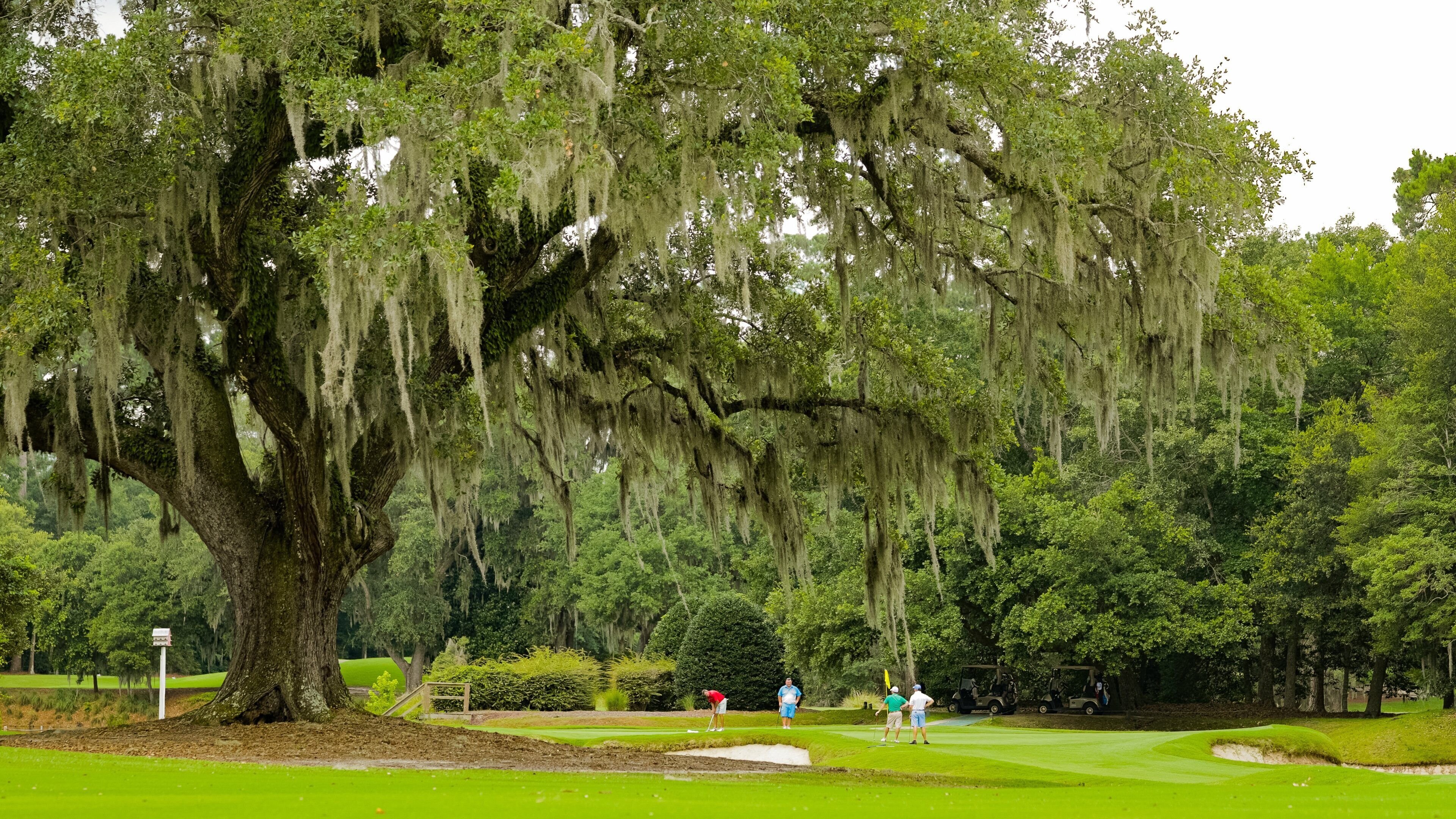 Caledonia Golf and Fish Club showing golf as well as a small group of people