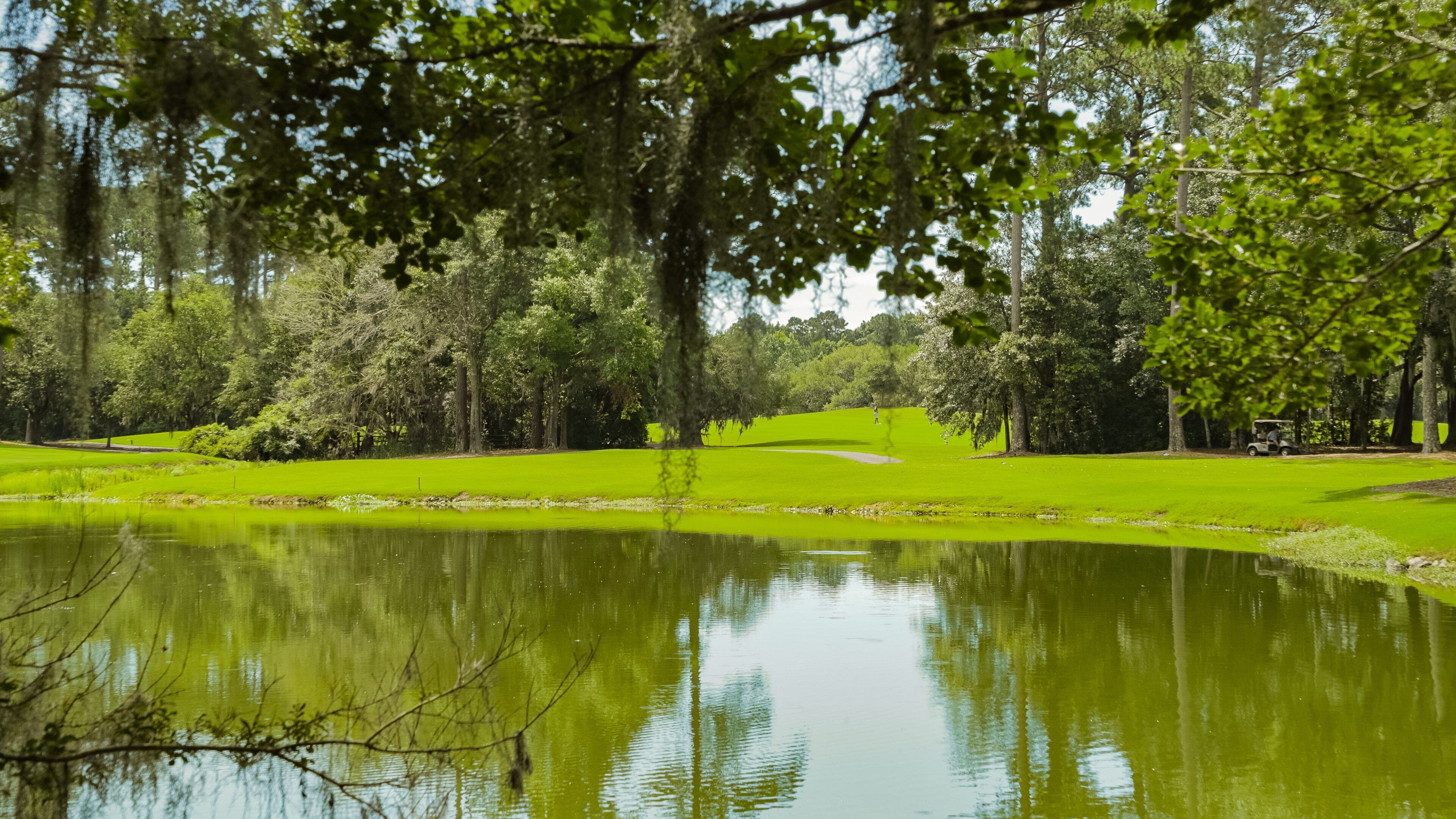Caledonia Golf and Fish Club showing a pond and golf